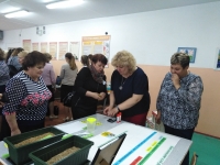 IMG_20190515_115243